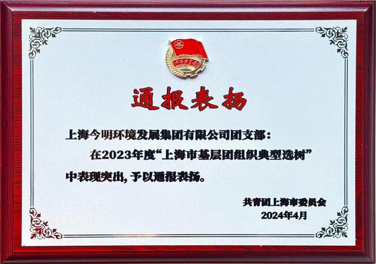 上海基层党组织典型选树