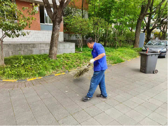 清晨的第一缕阳光与他们的身影